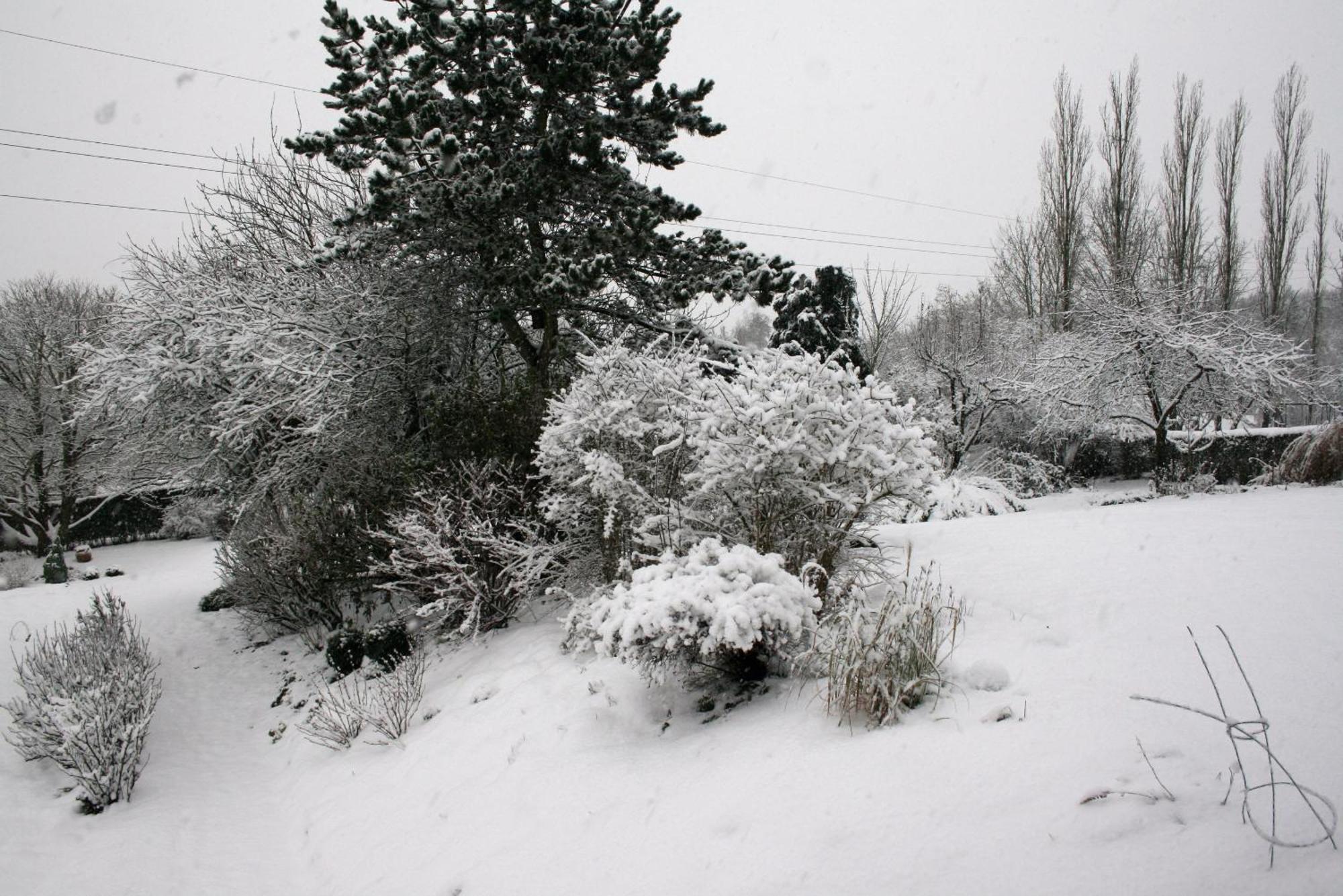 B&B Le Jardin D'Epicure Olne Exterior photo