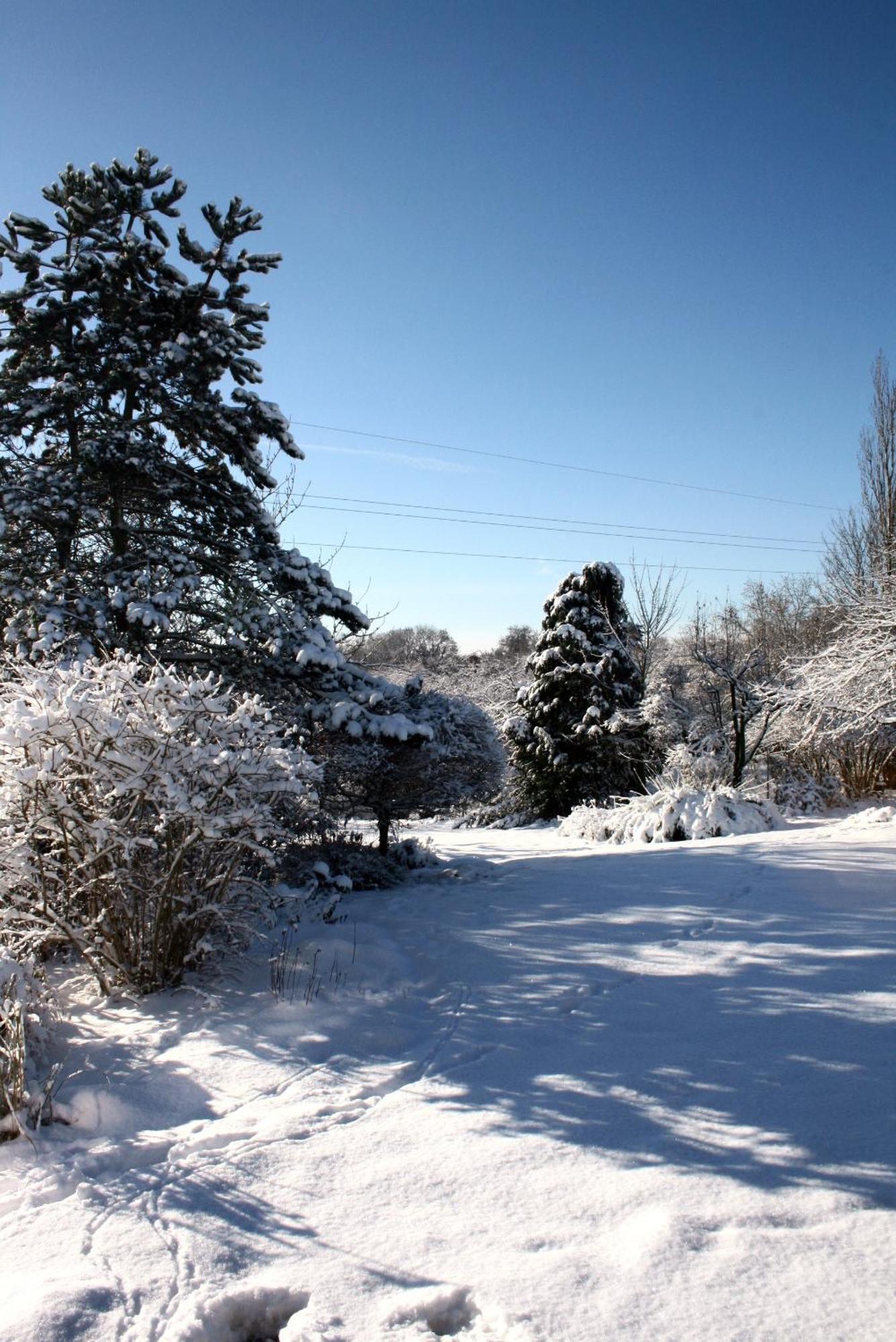 B&B Le Jardin D'Epicure Olne Exterior photo